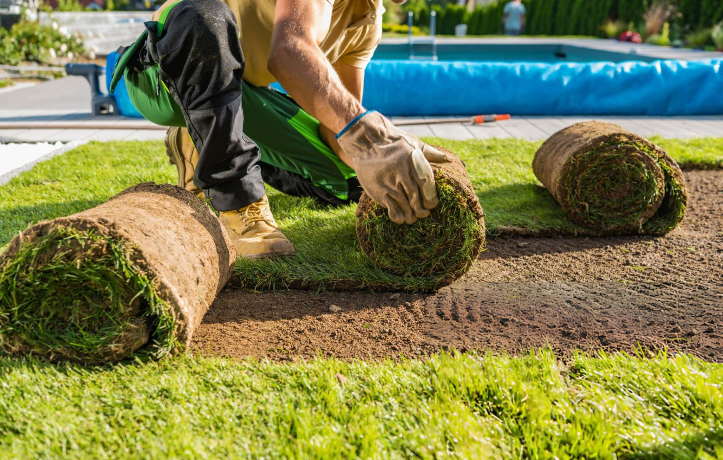 Texas Sod Pros photo 1